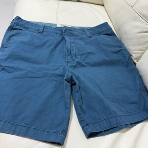 Hollister Men's Teal Flat Front Shorts